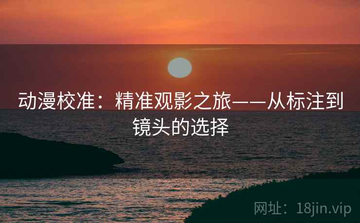 动漫校准：精准观影之旅——从标注到镜头的选择