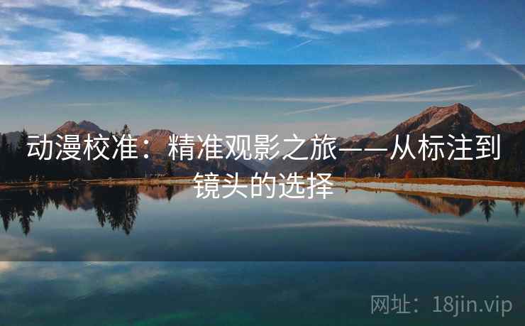 动漫校准：精准观影之旅——从标注到镜头的选择