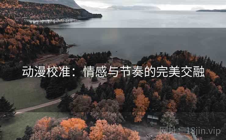 动漫校准:情感与节奏的完美交融 动漫校准:情感与节奏的完美交融