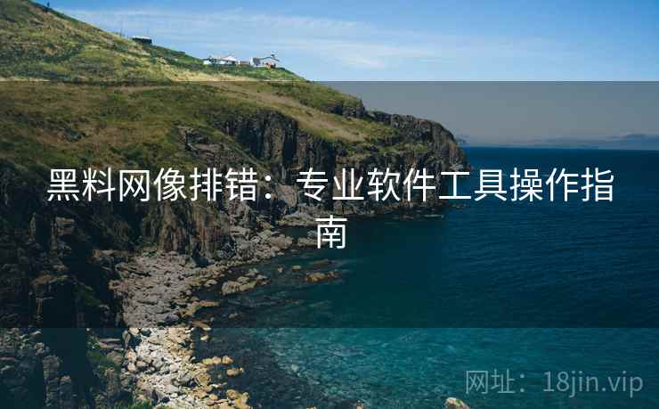 黑料网像排错:专业软件工具操作指南 黑料网像排错:专业软件工具操作指南